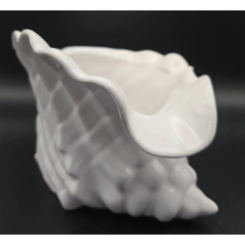 Pereias rare conch